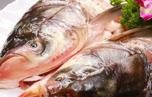 你喜歡的魚頭能不能吃？-海鮮大禮包