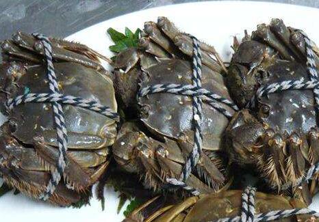 什么樣的大閘蟹才好吃