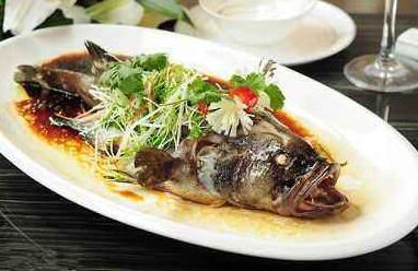 青斑魚和老虎斑哪個營養(yǎng)價值更高?