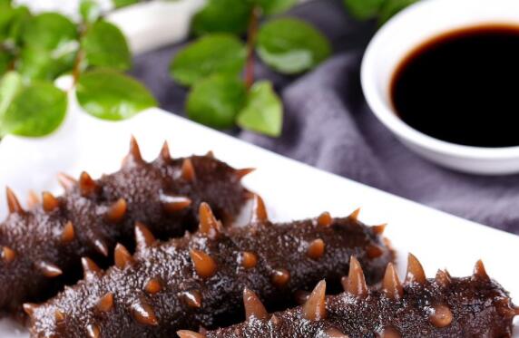 冬至吃海鮮禮包的海參遠離感冒